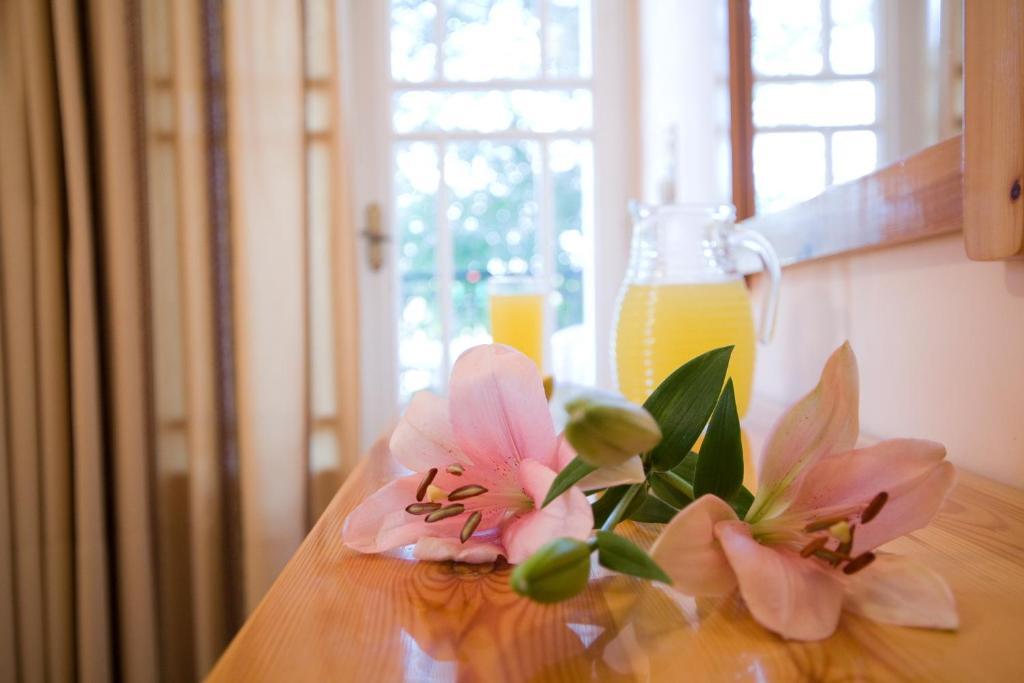 Pansion Filoxenia Apartments & Studios Tsoukaladhes Phòng bức ảnh